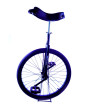 Monociclo Aro 24