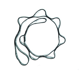 cinta Daisy (daisy chain)