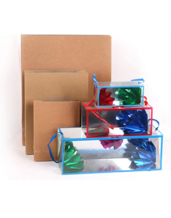 Bolsa de papel con cajas transparentes magia