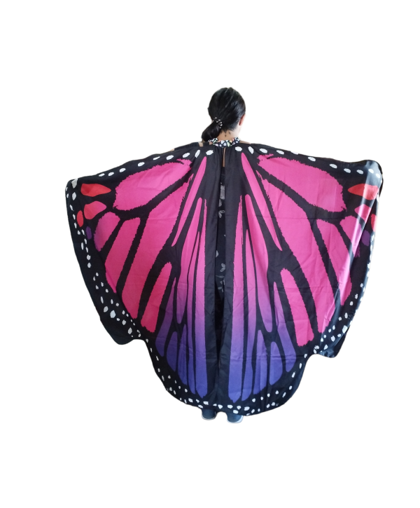 Alas de Mariposa, vestuario,disfraz