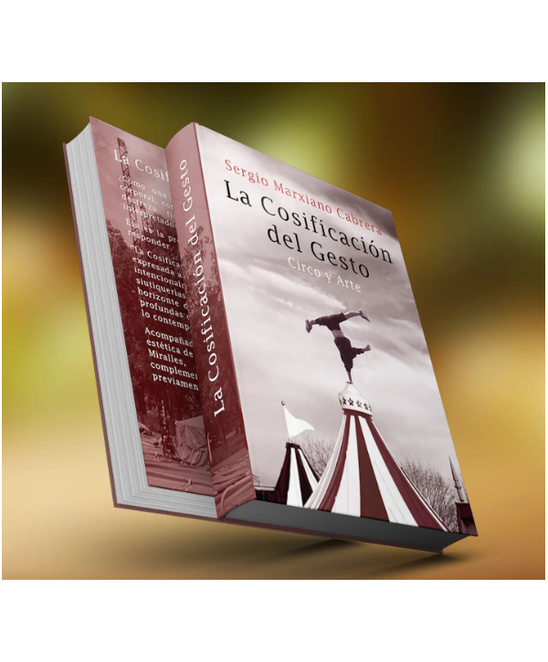 La Cosificación del gesto Libro