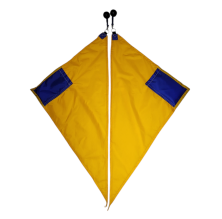 Bandera Triangular par