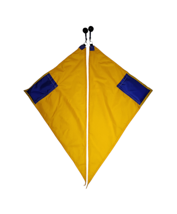 Bandera Triangular par