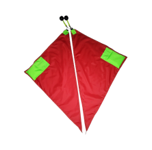 Bandera Triangular par