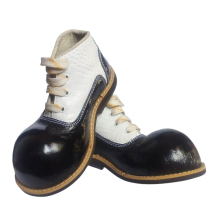 Zapato N.30   payasxs...