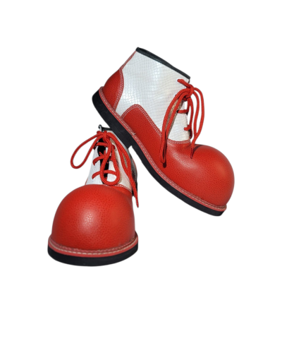 Zapatos de Pataso Modelos Exclusivos en Cabeza de Martillo