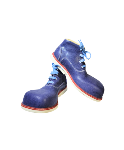 Zapatos de Pataso Modelos Exclusivos en Cabeza de Martillo