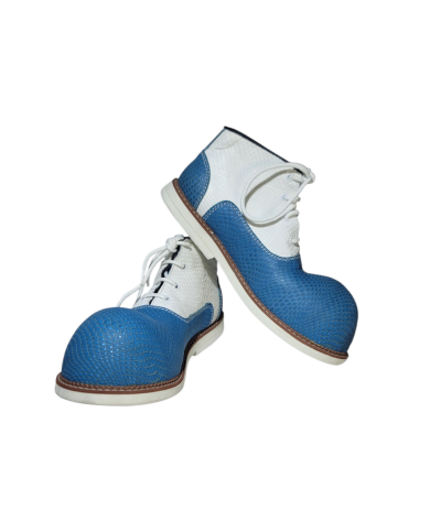 Zapatos de Pataso Modelos Exclusivos en Cabeza de Martillo