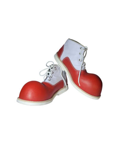 Zapatos de Pataso Modelos Exclusivos en Cabeza de Martillo