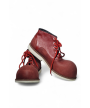 Zapatos de Payaso Modelos Exclusivos en Cabeza de Martillo