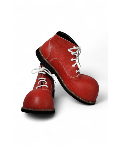 Zapatos de Payaso Modelos Exclusivos en Cabeza de Martillo