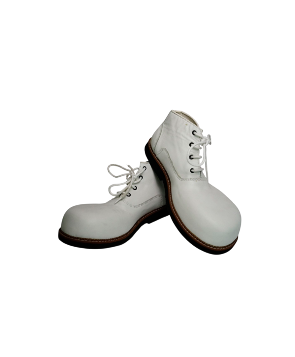 Zapato N. 42 Payaso  Pato Blanco